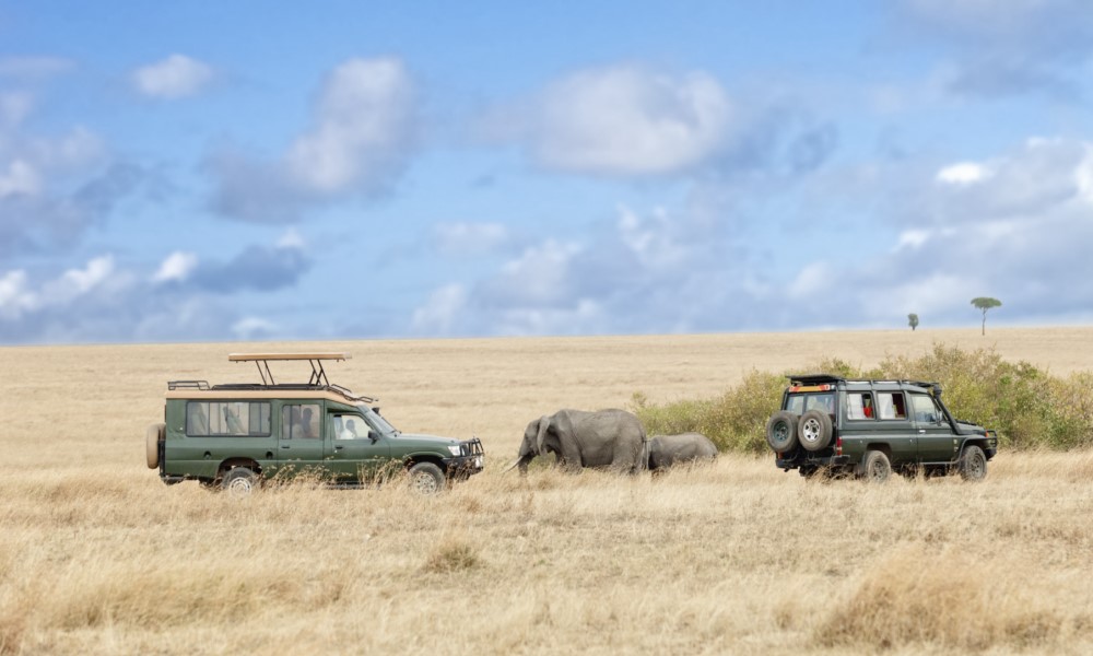 Uganda Trek & Tanzania Safari